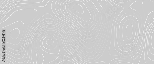 Topographic map lines background. Abstract vector illustration, the stylized height of the topographic contour in lines and contours,  white lines on light blue background. Texture for documents.