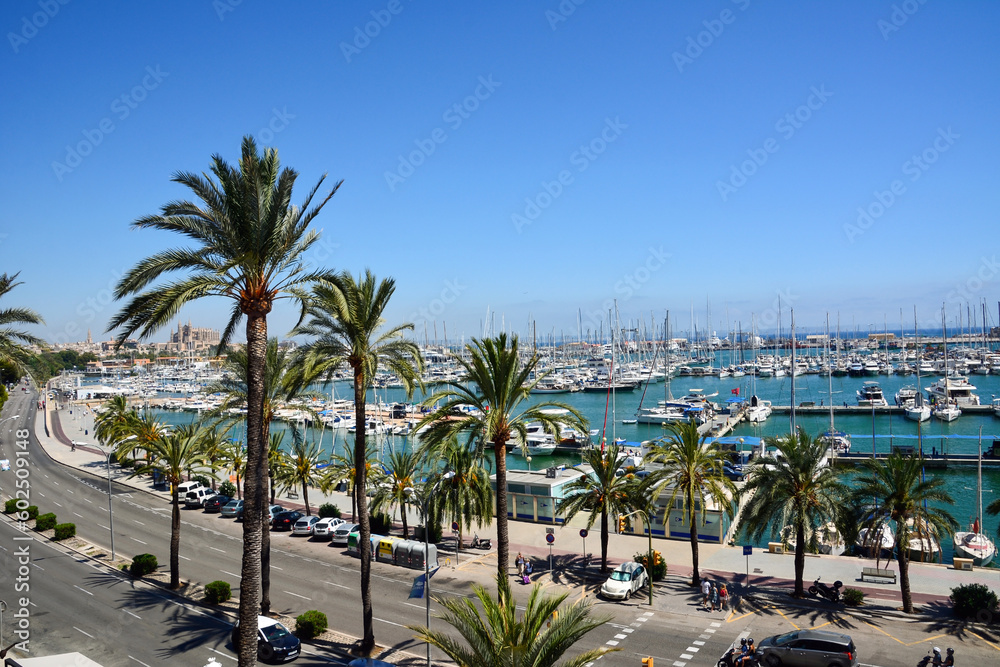 Sea promenade of the resort town with palm trees and road. In the background are piers with expensive yachts