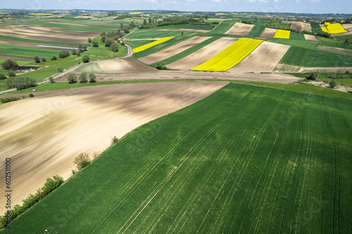Colorful Farmland and Scenic Countryside. Aerial Drone view