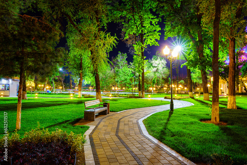 Fototapeta Naklejka Na Ścianę i Meble -  City night park in early summer or spring with pavement, lanterns, young green lawn and trees.