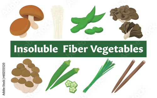 Vector illustration of insoluble fiber vegetables. photo