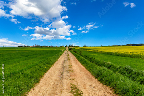 Rural dirt road among fields under the blue sky.