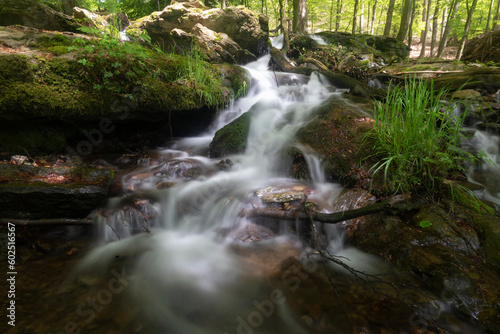 Bachlauf der Stürmke im Sauerland mit Buchenwald und Wasserfall
