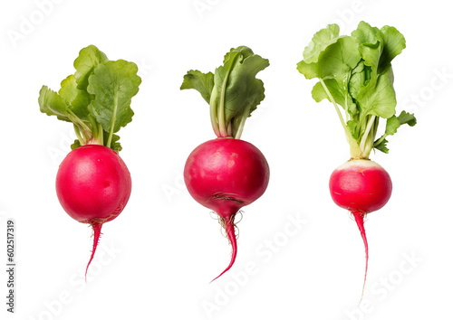 set of isolated illustrations of red radish. Created with Generative AI