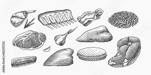 Red meat products. Veal beef, ribs, Bacon, jamon, mortadella, lamb beef Steak, pork sausage, chicken legs, sirloin, brisket Butchery food Hand drawn Vintage sketch. Products for label, restaurant menu