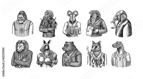 Grizzly Bear, Octopus, t-rex dinosaur, Elephant, Indian cobra snake, Fox with a smoking pipe, lion, Monkey scientist Goat with beer. Gentleman Fashion animal character in a suit. Hand drawn sketch.