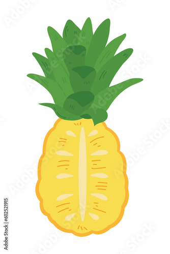 Hand Drawn Pineapple Illustration Isolated On White Background. Fresh Summer Fruit illustration.