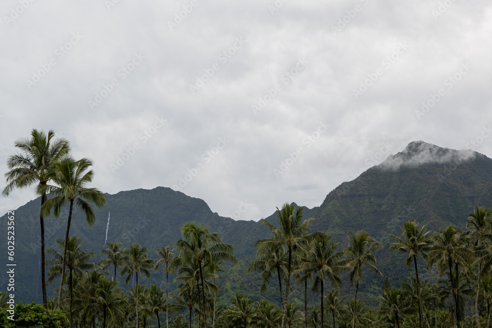 Palmen und Berge. Wasserfall und Wolken Palmen und Berge. Wasserfall und Wolken