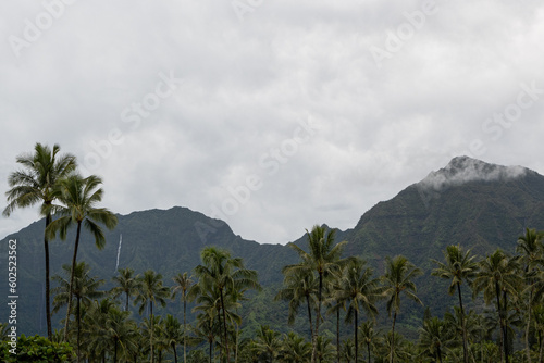 Palmen und Berge. Wasserfall und Wolken