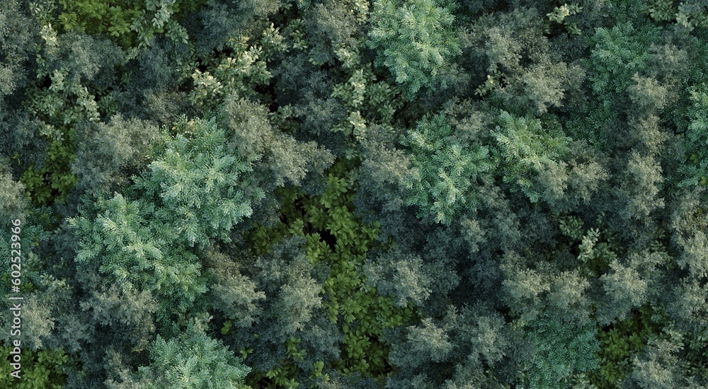 trees in the forest, top view, area view, 3D illustration, cg render trees in the forest, top view, area view, 3D illustration, cg render
