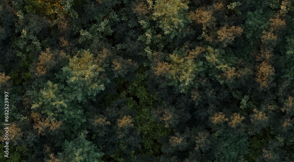 trees in the forest, top view, area view,  3D illustration, cg render