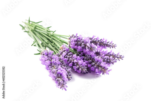 Lavender flowers isolated on white background with clipping path. Full Depth of field. Focus stacking. PNG. Generative AI