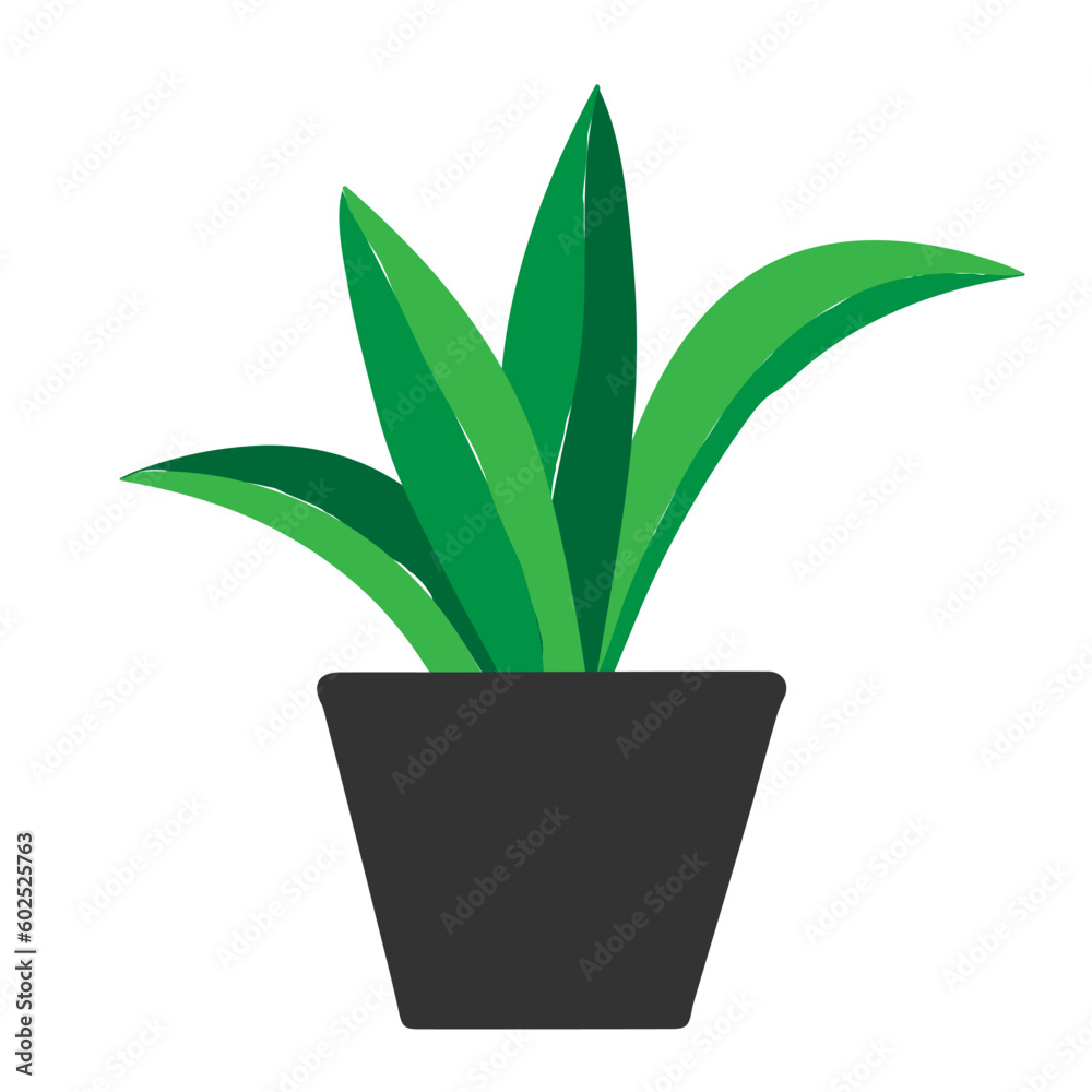 Green outline hand drawing vector illustration of a decorative plant Sansevieria in a gray pot isolated on a white background Green outline hand drawing vector illustration of a decorative plant Sansevieria in a gray pot isolated on a white background
