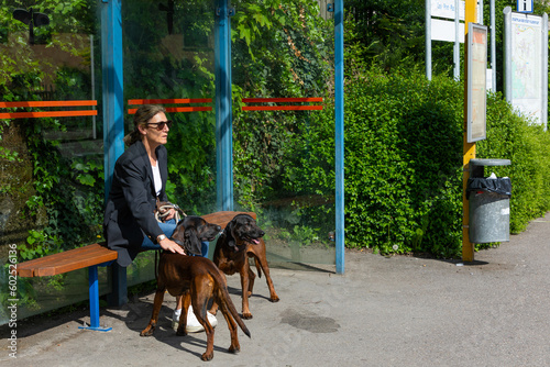 Photography woman waits with her dogs at a bus station