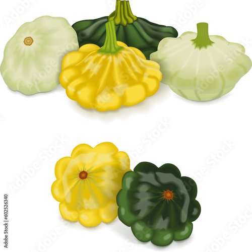 Group of Yellow, green and white Patty Pan squash. Scallop or Scallopini squash. Summer squash. Cucurbita pepo. Fruits and vegetables. Vector illustration isolated on white background.
