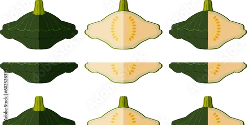 Set of Green Patty Pan squash or Scallop or Scallopini squash. Summer squash. Cucurbita pepo. Fruits and vegetables. Flat style. Vector illustration isolated on white background.