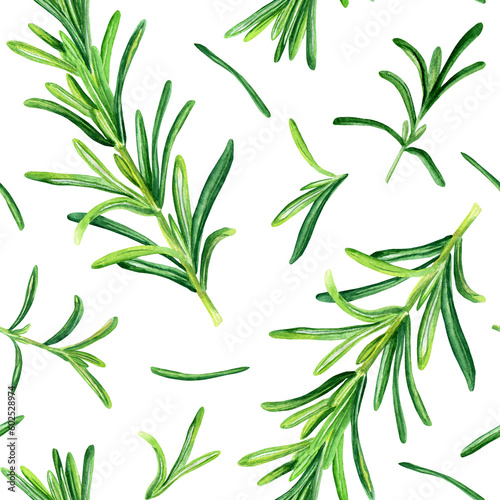 Watercolor seamless pattern with rosemary herb. Botanical illustration isolated on white for wrapping, wallpaper textile