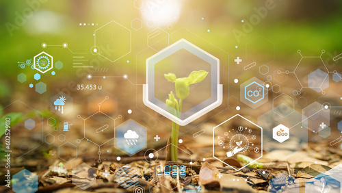 Seedling with bubble of eco icon with green nature background. Clean environment, Solution of Air and Environment pollution concept.