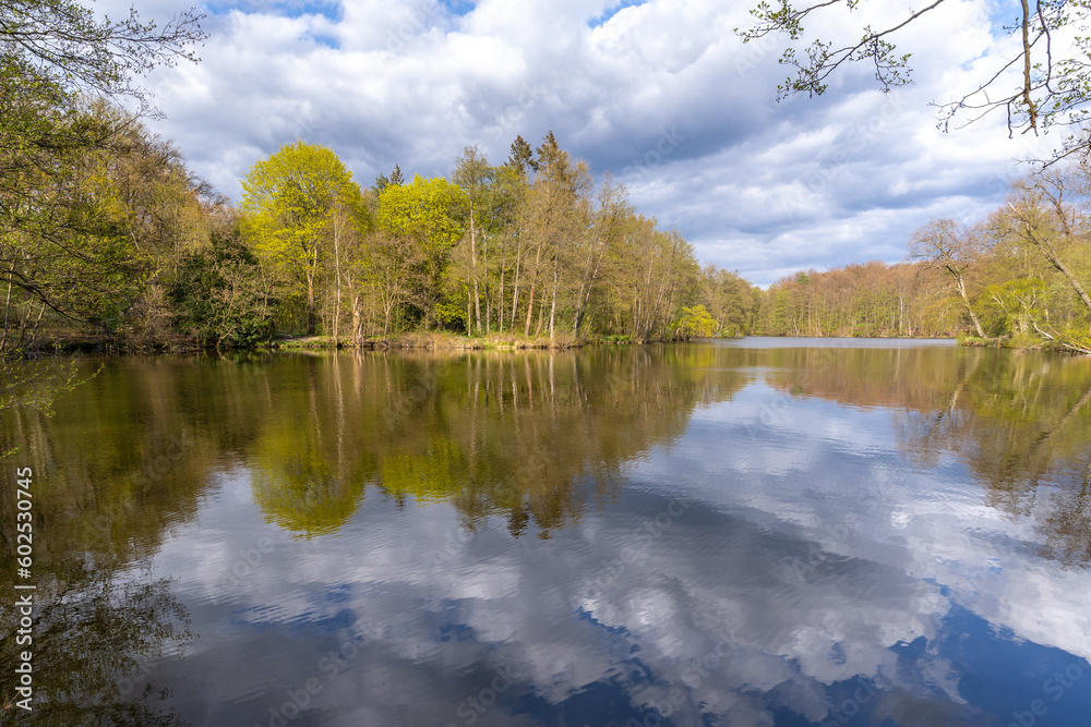 Swan Lake view in Muhlenbecker Land of Berlin Swan Lake view in Muhlenbecker Land of Berlin