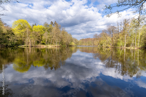 Swan Lake view in Muhlenbecker Land of Berlin 