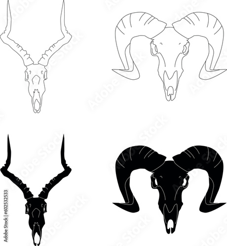 Set of animal skull. Goat skull. Mystic skull. 