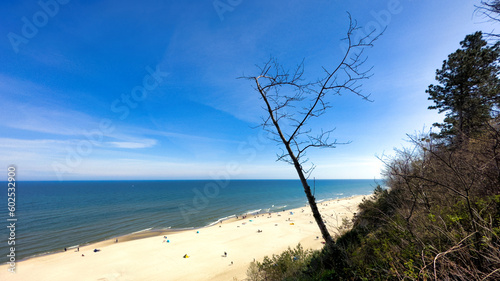 Fototapeta Naklejka Na Ścianę i Meble -  Beach and sea. View of the coast in beautiful weather. Sunny weather by the sea.
