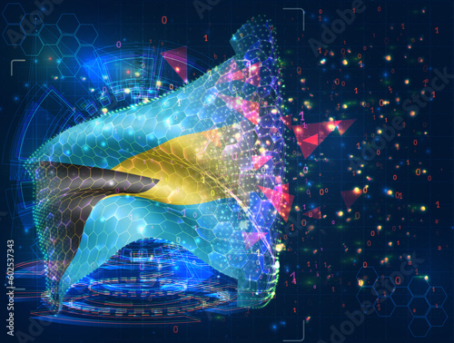 Bahamas,  vector flag, virtual abstract 3D object from triangular polygons on a blue background