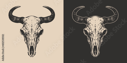 Set of vintage retro scary spooky cow bull skull head skeleton. Cowboy Native American. Can be used like emblem, logo, poster or print. Monochrome Graphic Art. Vector. Hand drawn element in engraving