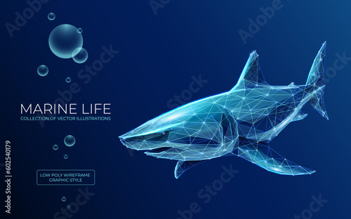 The great white shark, white pointer. Marine life. The concept of aggressive business. 3D vector wireframe illustration on dark blue background. Polygonal realistic dangerous fish underwater.