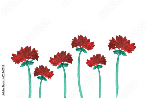 Watercolor carnation flowers on a white background. Glade with flowers. Сard