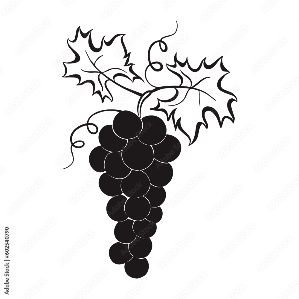 Fototapeta premium bunch of grapes