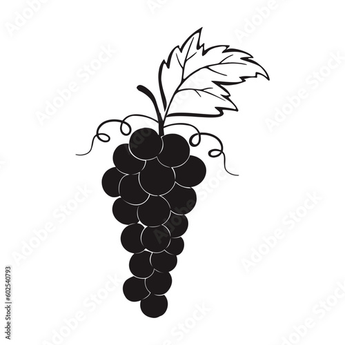 illustration of grapes