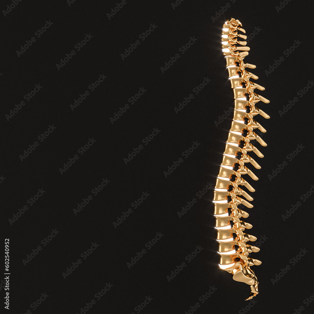 gold spine with luminous discs on a black background. gold spine with luminous discs on a black background.
