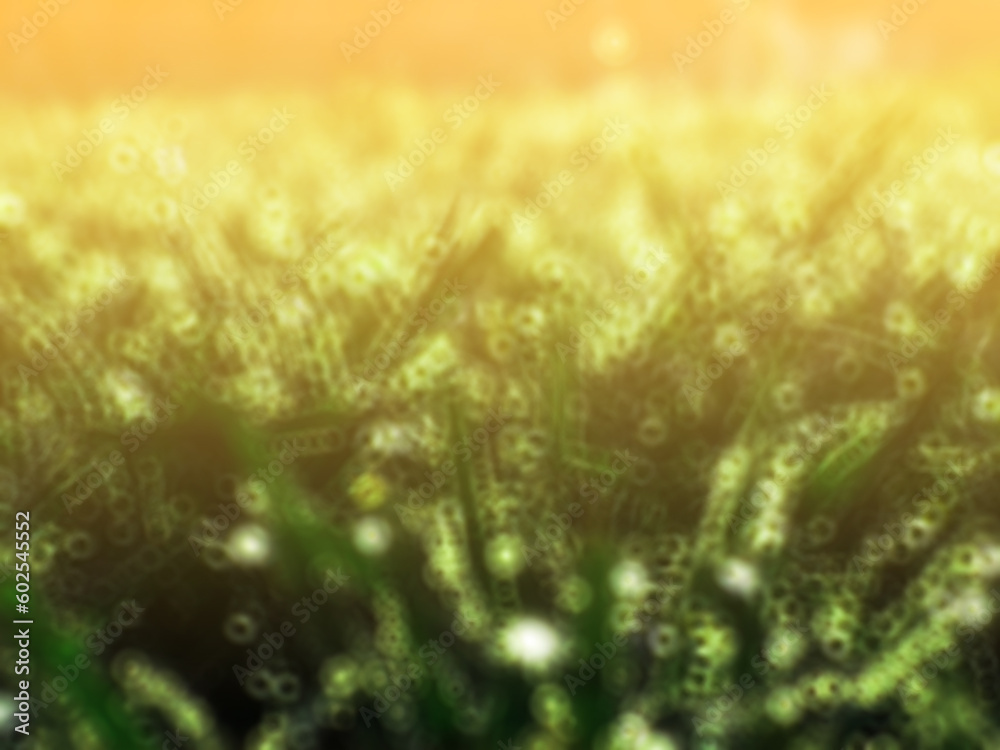Abstract background of green grass with bokeh defocused lights. It's so fresh with greenery, large field and a wonderland.