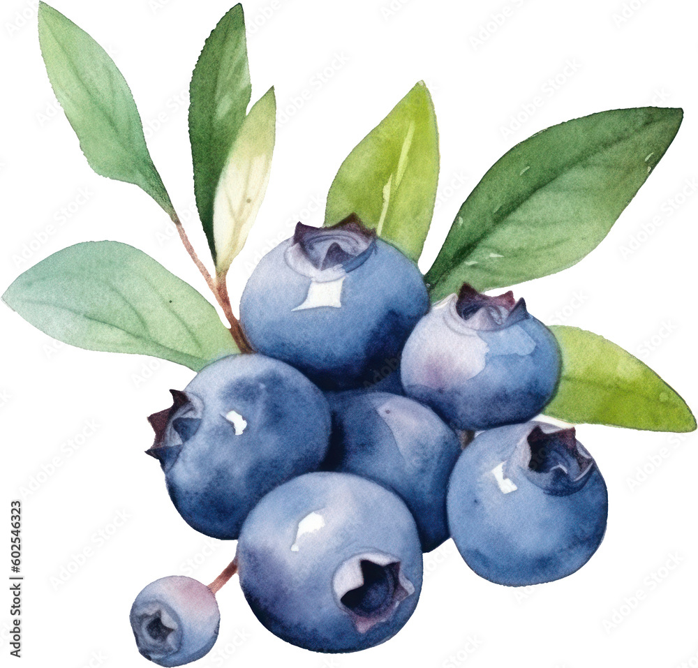 Blueberry Fruits Watercolor Illustration. Generative AI Blueberry Fruits Watercolor Illustration. Generative AI