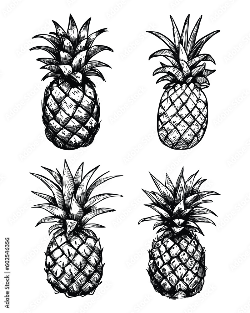 Fototapeta premium Pineapple Fruit Hand Drawing Style Vector Illustration
