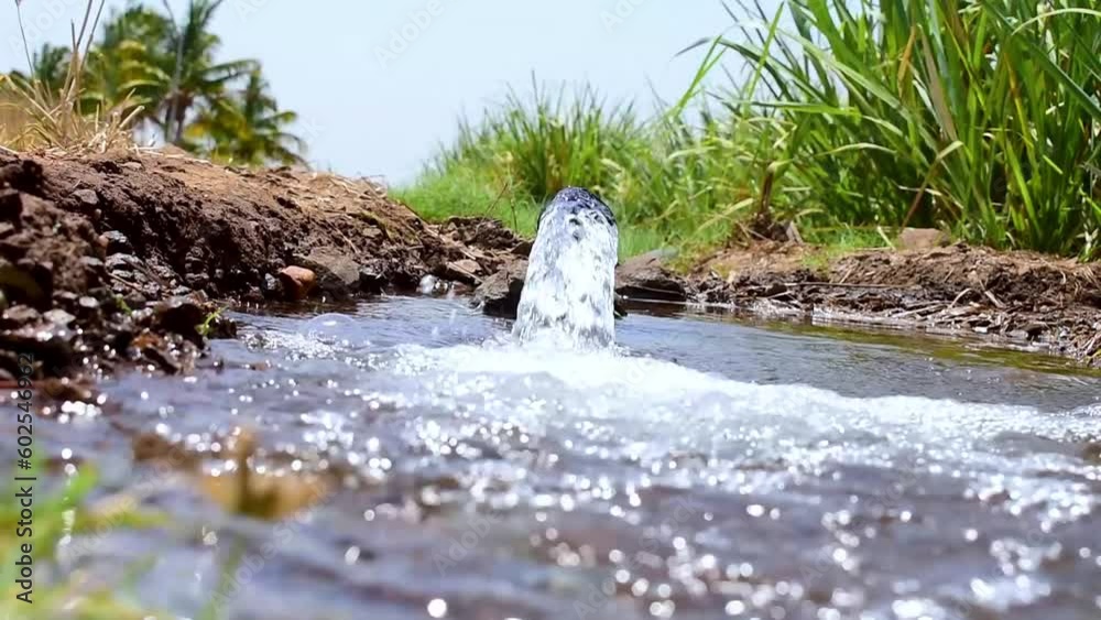 pump pipe water flow equipment agriculture, pump pipe water flow equipment agriculture,Water from a well filled a pond for irrigation,Irrigation water from the source