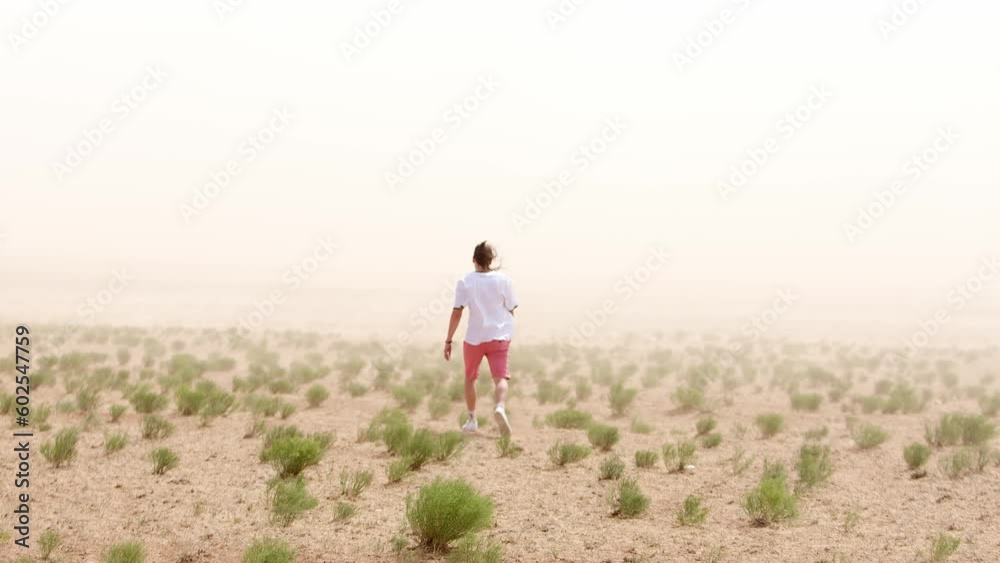 Man goes across the steppe into sandy cloud. Back view. Concept of chaos and uncertainty. Slow motion Man goes across the steppe into sandy cloud. Back view. Concept of chaos and uncertainty. Slow motion