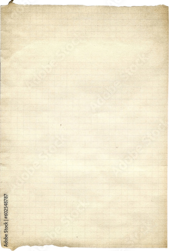 Vintage Paper with Distressed Texture and Torn Aged Edges: Rustic Brown