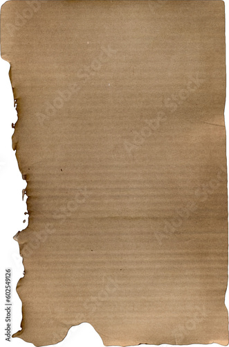 Vintage Paper with Distressed Texture and Torn Aged Edges: Rustic Brown