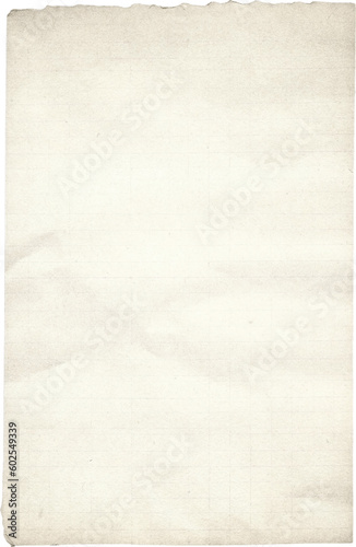 Vintage Paper with Distressed Texture and Torn Aged Edges: Rustic Brown