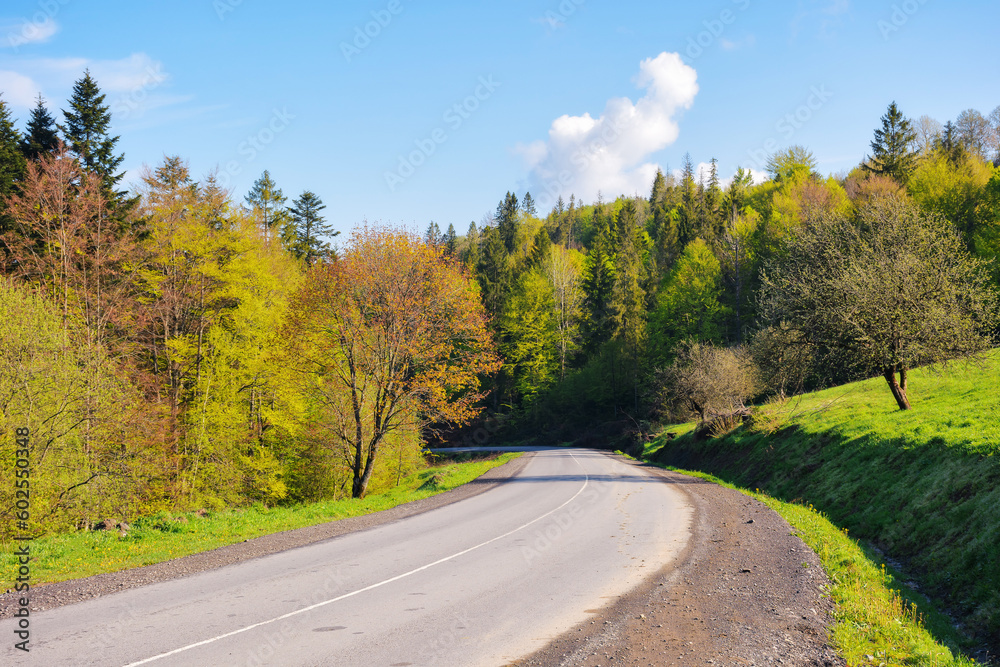 Fototapeta premium road leads through scenic countryside journey. asphalt way invites travelers to embark on a trip through the serene landscape, where nature beauty is on full display