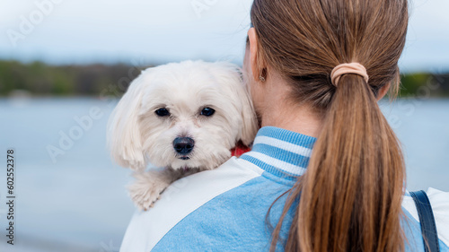Blonde woman holding maltese dog photo