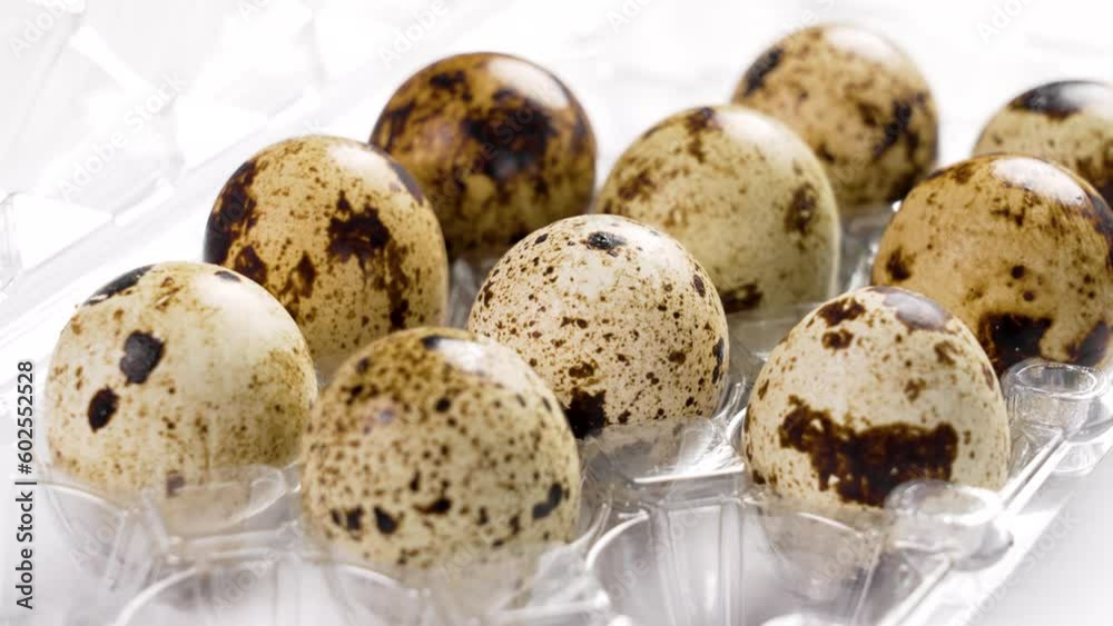 Raw spotted quail eggs in plastic pack. Dietary healthy food. Rotation. Close up Raw spotted quail eggs in plastic pack. Dietary healthy food. Rotation. Close up