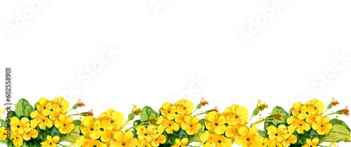 Foto watercolor horizontal frame with yellow primrose evening flowers, hand drawn bot