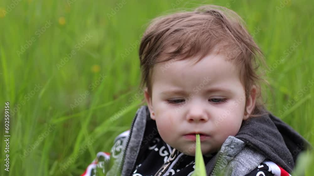 A small child, 1 year old, is sitting in the big grass. A child on an uncut lawn. A child is playing on the street. Tall green grass in summer. Childhood in nature A small child, 1 year old, is sitting in the big grass. A child on an uncut lawn. A child is playing on the street. Tall green grass in summer. Childhood in nature