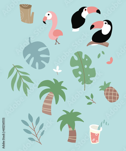 Animals and plants in tropical regions