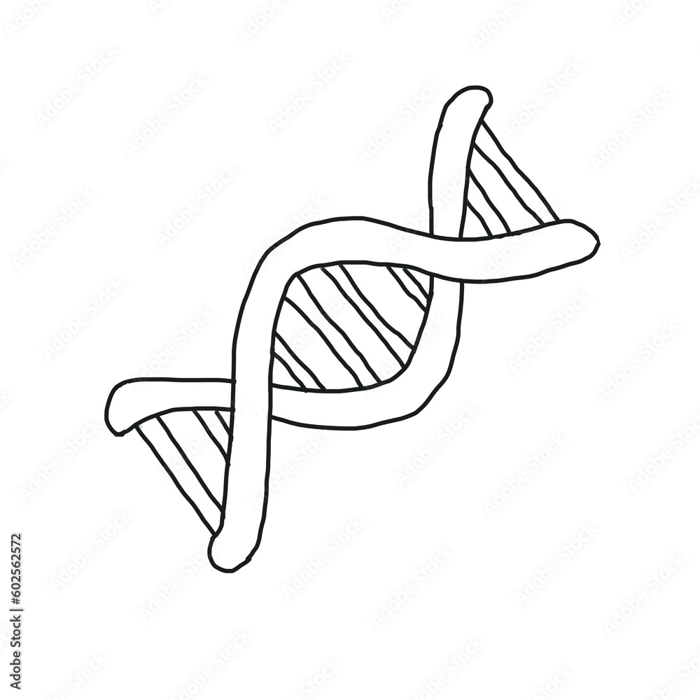 DNA Biology medical hand drawn doodle DNA Biology medical hand drawn doodle