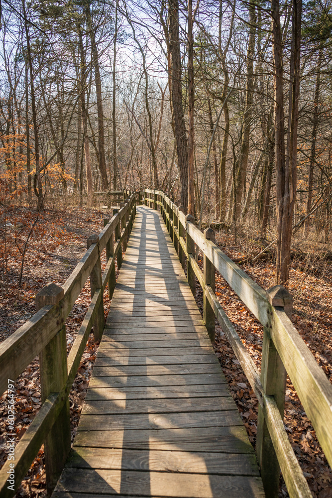 Obraz premium Boardwalk at Rock Bridge Memorial State Park, Missouri