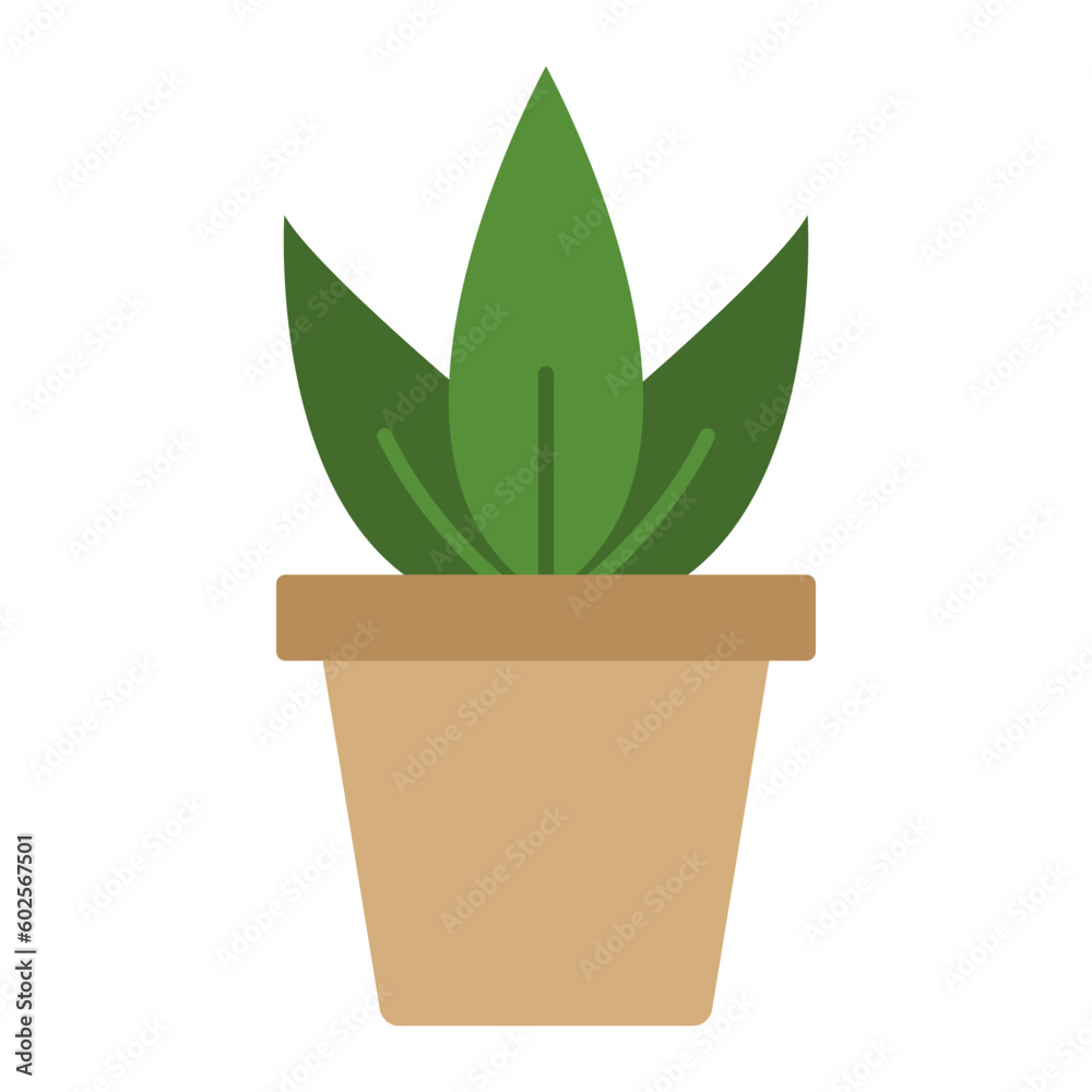 plant plant